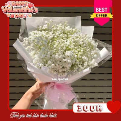 Hoa Valentine Bó Hoa Baby Tình Yêu Tinh Khôi Hoa Valentine Bó Hoa Baby Tình Yêu Tinh Khôi