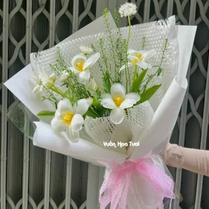 Bó Hoa Tulip White Love