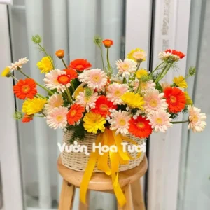 Giỏ Hoa Khai Trương Đồng Tiền Tươi Mới