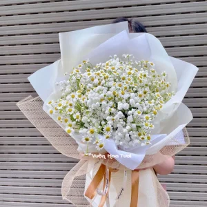 Bó Hoa Baby Tana Tinh Khôi Mừng Sinh Nhật