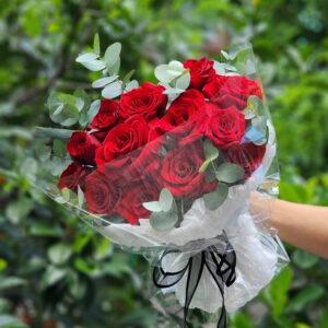 HOA BÓ HỒNG ĐỎ
