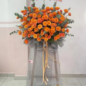 KỆ KHAI TRƯƠNG A17