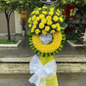 HOA VIẾNG B9