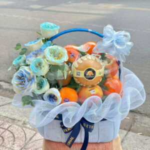 GIỎ TRÁI CÂY D1