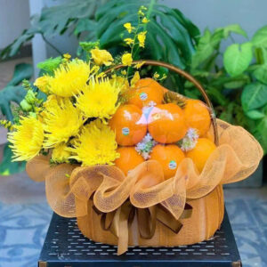 GIỎ TRÁI CÂY D3