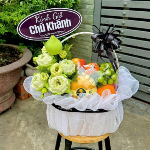 GIỎ TRÁI CÂY D9