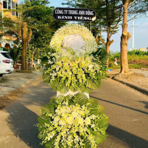 HOA VIẾNG C6