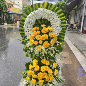 HOA VIẾNG C1