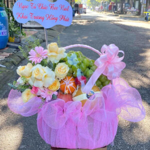 GIỎ TRÁI CÂY C15